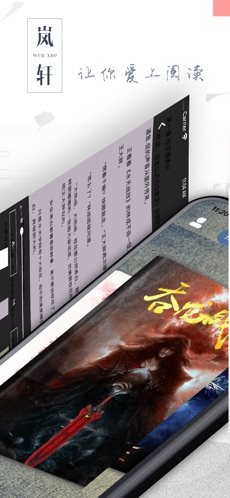岚轩文学app官方手机版图片1