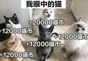 2019双十一盖楼表情包壁纸大全高清无水印完整手机版图片1