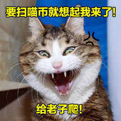 2019双十一盖楼表情包壁纸大全高清无水印完整手机版图片3