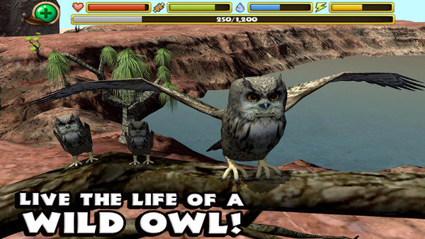 终极猫头鹰模拟器游戏完美汉化安卓版图片1