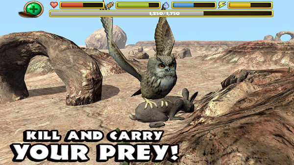 终极猫头鹰模拟器游戏完美汉化安卓版图片3