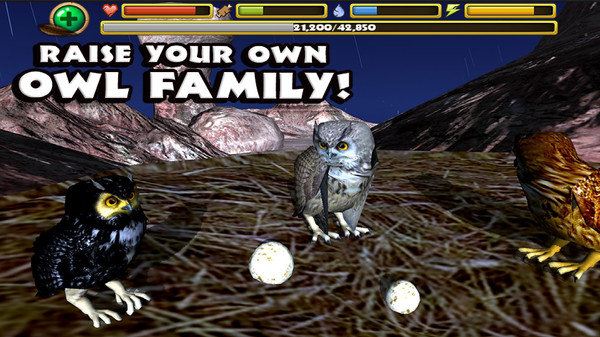 终极猫头鹰模拟器游戏完美汉化安卓版图片2