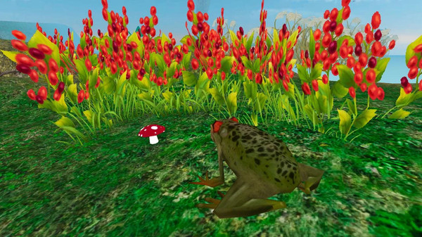 雨林青蛙生存模拟游戏官方最新版图片1