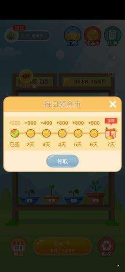 阳光金币屋金币阳光正版图片1