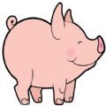 国民养猪app手机安卓版 v1.0