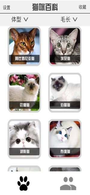 喵咪部落app官方最新版图片1