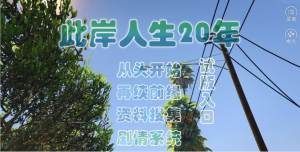 此岸人生20年安卓版鲜花完整攻略版图片3