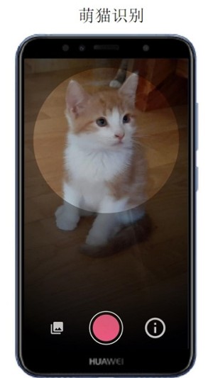 万物识别拍照app手机客户端图片2