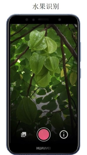 万物识别拍照app手机客户端图片1