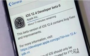 ios 12.4正式版安装包apk图片2