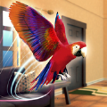 鹦鹉模拟器宠物世界3D最新版