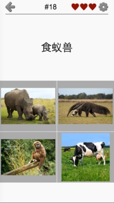 动物小测验游戏app手机正版图片1