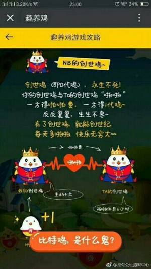 开心趣养鸡领金币钻石福利版图片2