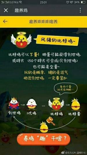 开心趣养鸡领金币钻石福利版图片3