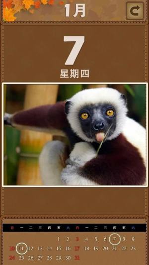 爱情公寓5万年历测姻缘游戏手机版图片2
