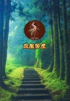 养凤凰分红红包版app手机版图片1