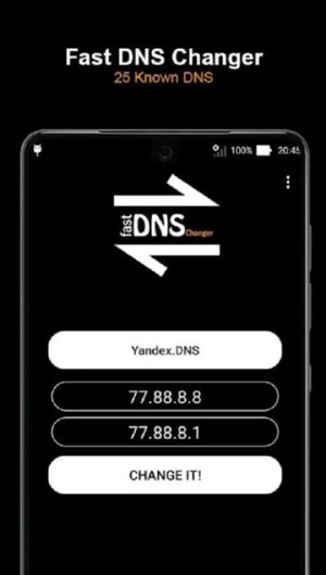 快速DNS转换器app手机正版图片3