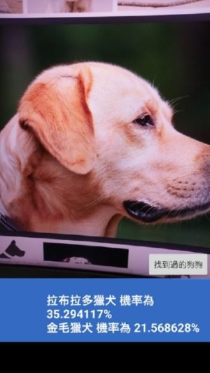 这是什么狗app手机版图片1