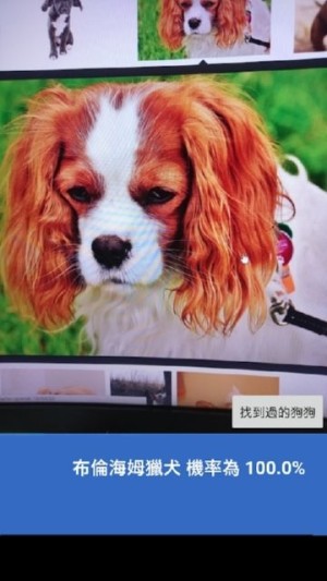 这是什么狗app手机版图片2
