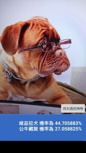 这是什么狗app手机版图片3