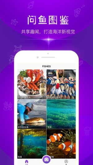 问鱼官方免费版图片2