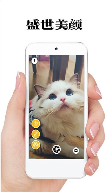 极简猫咪相机手机免费版图片3