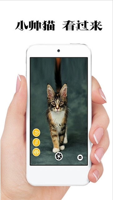 极简猫咪相机手机免费版图片2