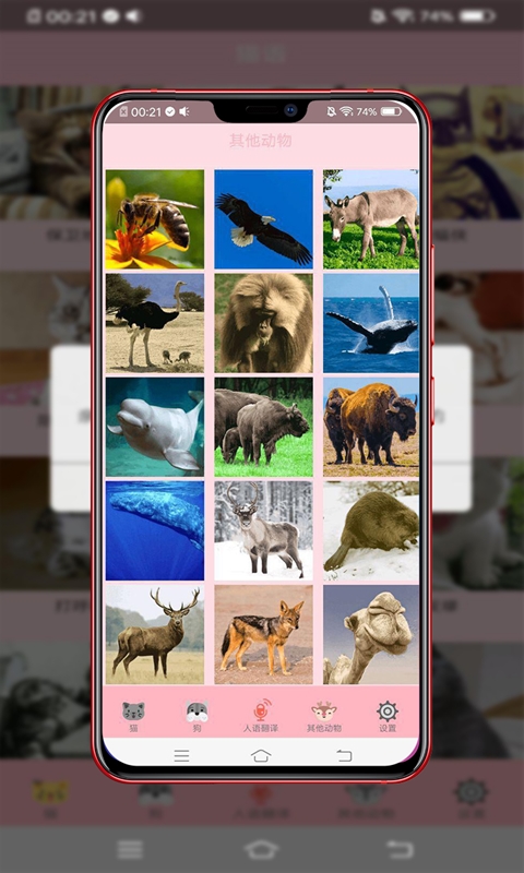 动物智能翻译app手机软件图片2