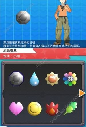 PokePlus正式版钻石apk安卓版图片2