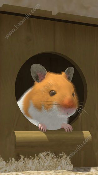 小小仓鼠手机游戏官方最新版图片3