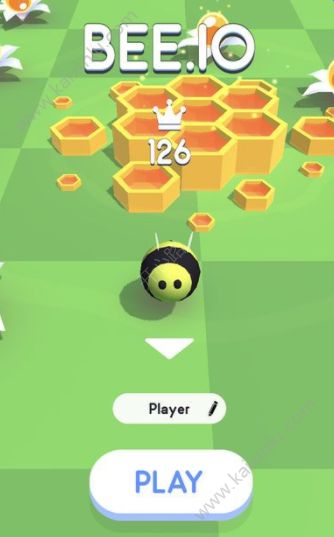蜜蜂大作战游戏官方版安卓版（Bee.io）图片1