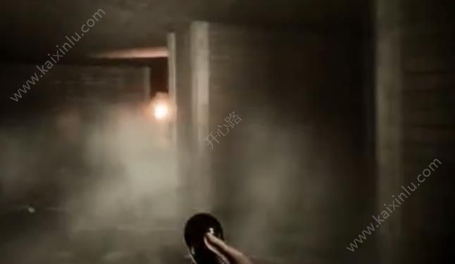 鲤鱼Ace解说地下室模拟器游戏官方手机版（spooky cellar）图片1