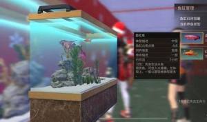 明日之后观赏鱼种类大全 8种观赏鱼类汇总分析图片2