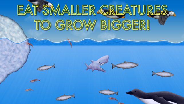 大鱼模拟器游戏官方安卓版图片3