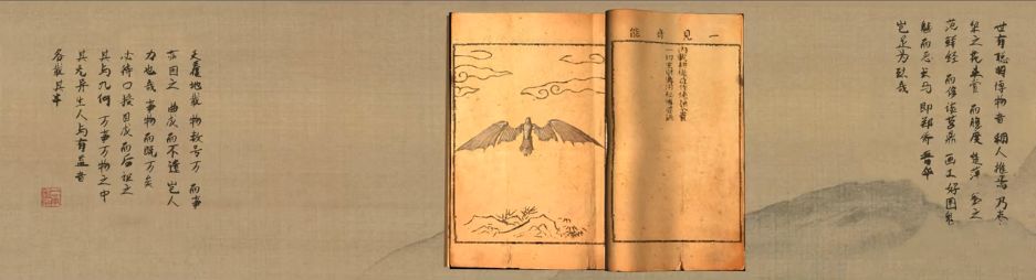 代号LN手游激活码怎么获得 游戏官网激活码预约地址分享[图]