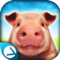 做猪的一生模拟器游戏最新手机版 v1.01
