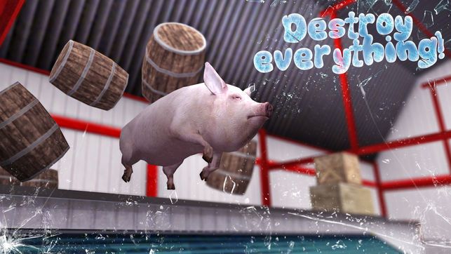 做猪的一生模拟器游戏最新手机版图片3