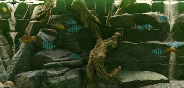 鱼缸模拟器Biotope游戏官方中文手机版图片4