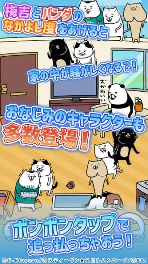 熊猫与狗狗的美好人生官方版游戏最新升级版图片1