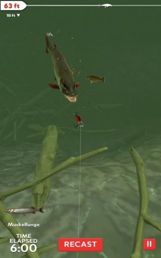Fishing Life官方游戏最新安卓版下载图片1