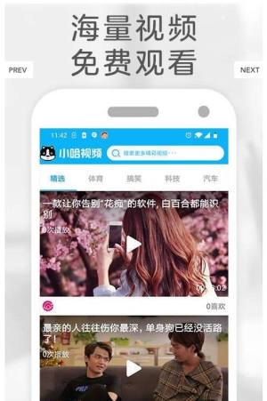 小哈视频app官方版最新版图片2