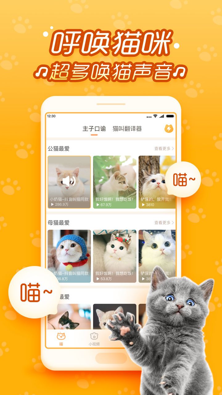 逗猫米app官方平台最新版图片3