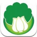 白菜优品app官方平台最新登录入口 v1.0.3