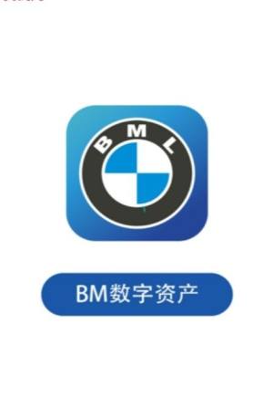 宝马链BMLapp官方软件正式版图片3