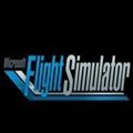 微软飞行模拟器手游