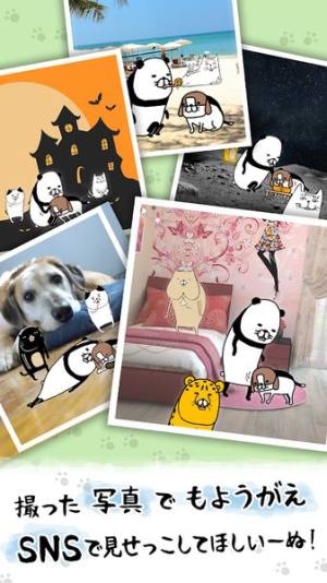 熊猫与狗狗狗一直超可爱游戏官方版图片3