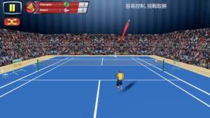 羽毛球比赛锦标赛游戏官方版图片2