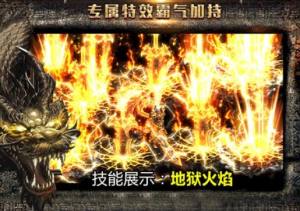 飞龙传说游戏官网下载安卓版图片2