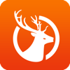 斑点鹿赚钱app