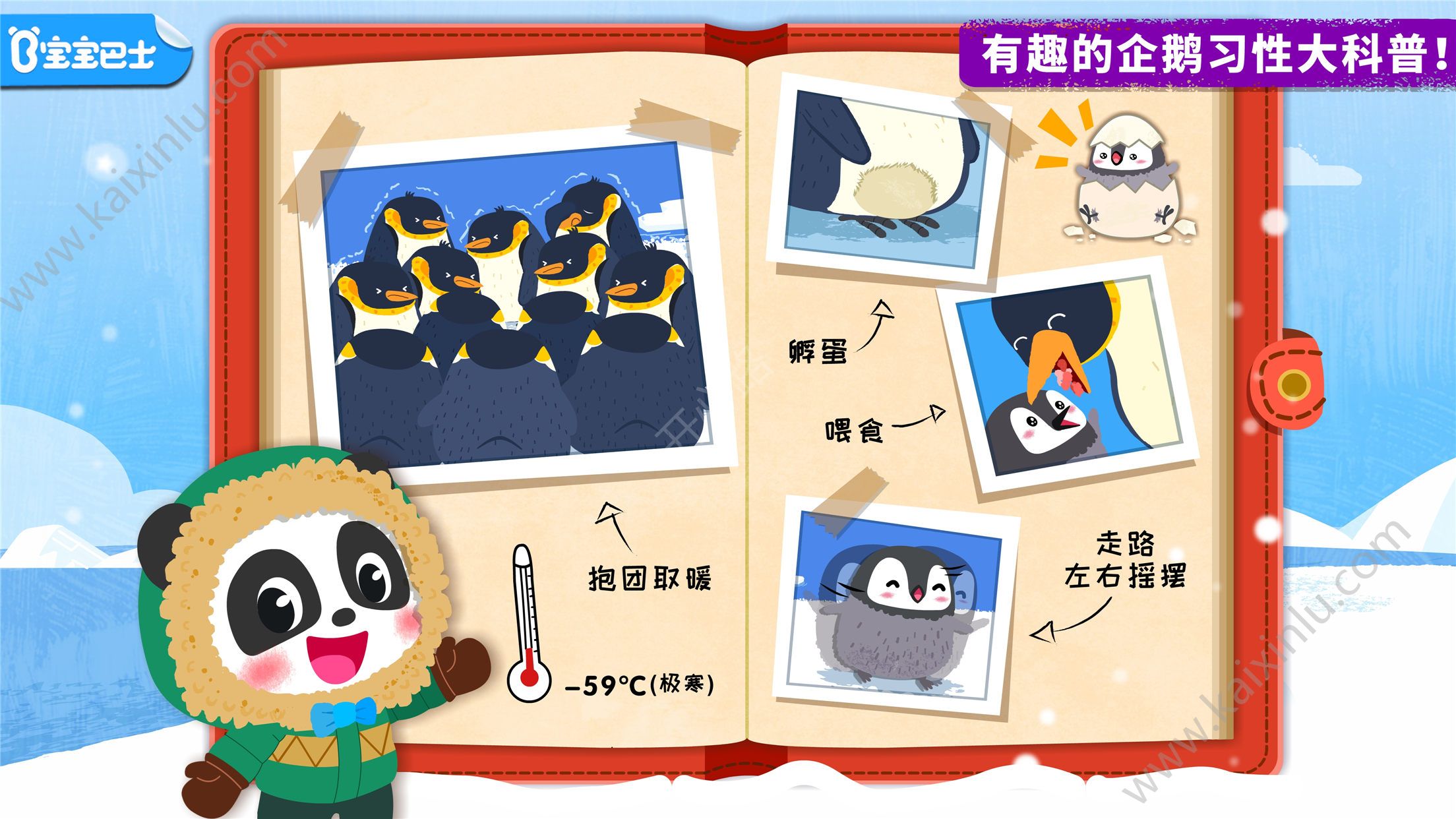 宝宝巴士奇妙企鹅部落完整剧情安卓版图片3